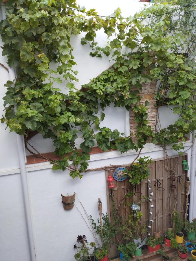 Apartamento Eg17 Arcos de la Frontera Exterior foto